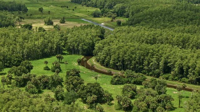 Aerial view of a winding canal flowing through lush green wetlands, dense forest, and palm trees in Ave Maria, Florida, United States.