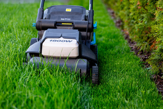 Electric lawn mower cutting overgrown green grass