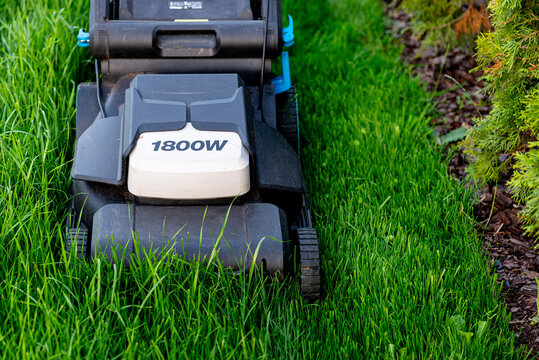 Electric lawn mower cutting overgrown green grass lawn