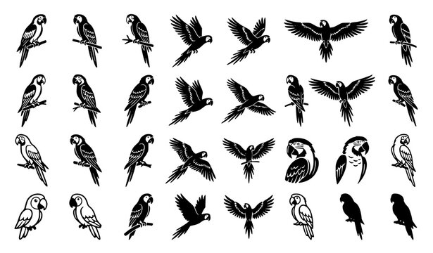 Macaw Parrot Silhouette Collection Tropical Bird Vector Illustration Set