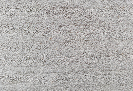 Light Gray Cement Render Wall Texture with Rough Stucco Surface Background