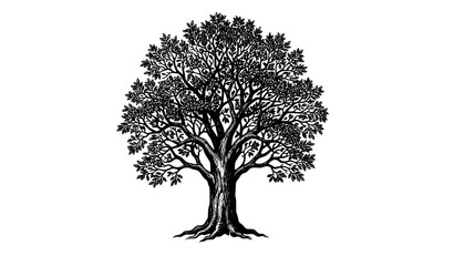 Fototapeta premium Modern Windswept Black Tree Silhouette Vector with Artistic Nature Line Drawing