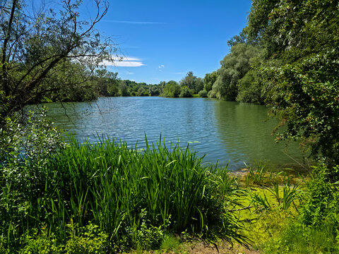 germany, peaceful summer morning at nuertingen beutesee lake with lush green trees clear blue sky and tranquil water reflections