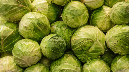 Fototapeta premium Fresh green cabbages displayed at a grocery store produce section. Healthy leafy vegetables with natural texture, ideal for agriculture, nutrition, organic food and fresh market concepts