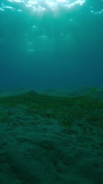 Vertical footage, Sandy seabed with hills in bright sunbeams at sunset, Camera moves forward in shallow water above hilly sand bottom in the evening light, Natural background 
