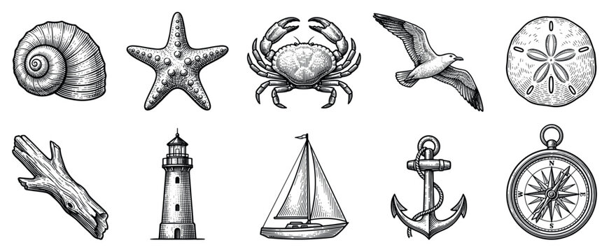 Nautical and marine icons set. Sea travel and ocean life concept. Includes seashell, starfish, crab, seagull, sand dollar, driftwood, lighthouse, sailboat, anchor, compass. Engraved style