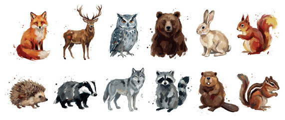Fototapeta premium Forest animals icons set. Wildlife and nature concept. Includes fox, deer, owl, bear, rabbit, squirrel, hedgehog, badger, wolf, raccoon, beaver, chipmunk. Watercolor painting style