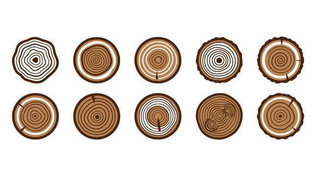 Set of various tree trunk cross sections on white background