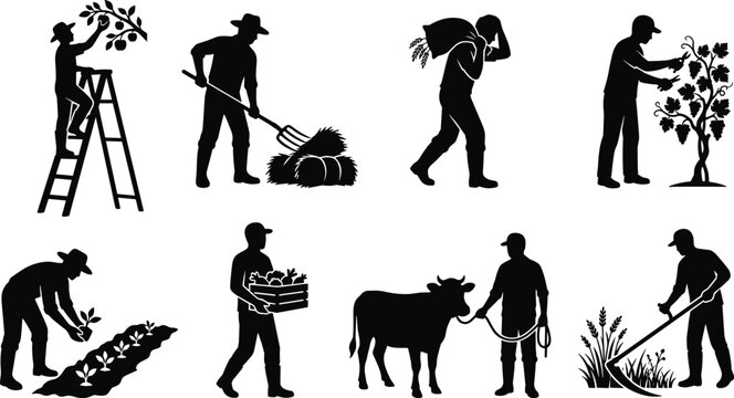 Black silhouettes set of farmers working on agricultural farm harvesting crops pruning grapes and tending livestock on white background