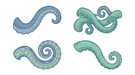 Set of hand drawn octopus tentacles on white background © aris