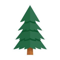 Fototapeta premium Fir Tree, modern flat 2D illustration with clean simple shapes, isolated on a white background.