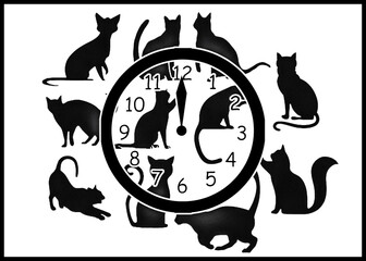 rätsel redewendung deutsch nachts sind alle katzen grau © fotorena.de