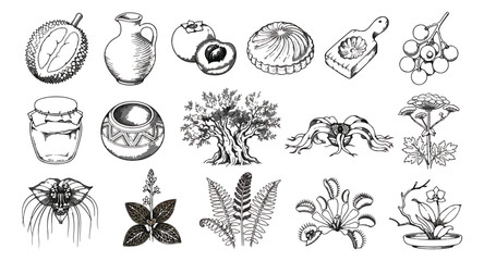 Fototapeta premium Vintage hand drawn botanical and kitchen icons, set of 15 black and white vector illustrations, rustic food and plant sketches for organic branding