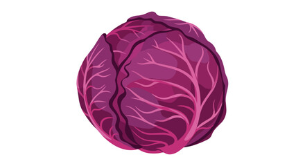 Obraz premium Vibrant Purple Cabbage Head Isolated on White Background for Healthy Organic Cooking and Fresh Vegetable Food Design
