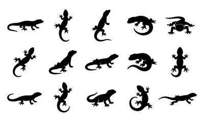 Fototapeta premium Set of black lizard silhouettes displayed in various poses isolated on a white background for graphic design.