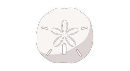 Fototapeta premium Sand Dollar Sea Shell with Star Pattern Isolated on White Background for Summer Ocean and Beach Themed Design Projects