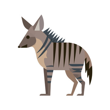 Aardwolf, flat 2D illustration, minimal modern design, clean shapes, isolated on a white background.
