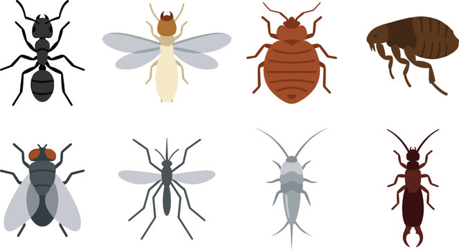 Vector illustration set of common household pests and insects isolated on a white background