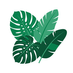A vibrant collection of green tropical leaves on white © elyna