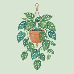 A hanging potted plant with lush leaves glows softly indoors © parfume
