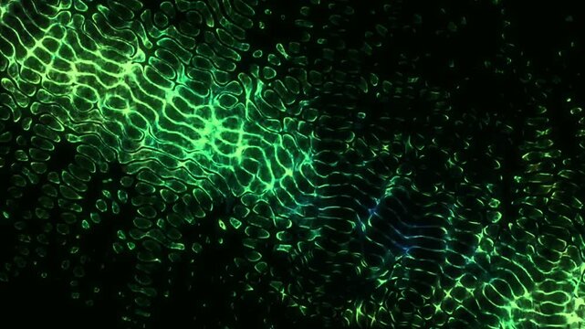 Vibrant green fluid ripples and caustics shimmering on dark surface. Abstract matrix style water soundwave motion graphics background.