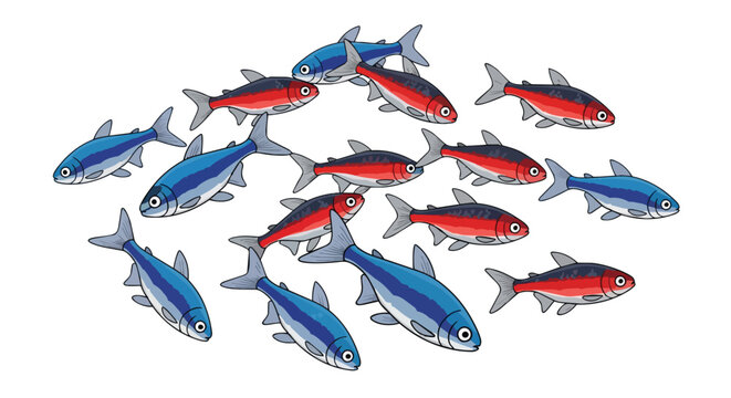 Group of Small Tropical Freshwater Neon Tetra Fish Swimming Together in a School Isolated on Plain White Background