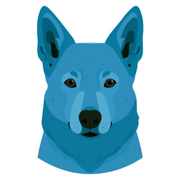 Clean flat 2D illustration of Kelpie, simple contemporary design, isolated on a white background.