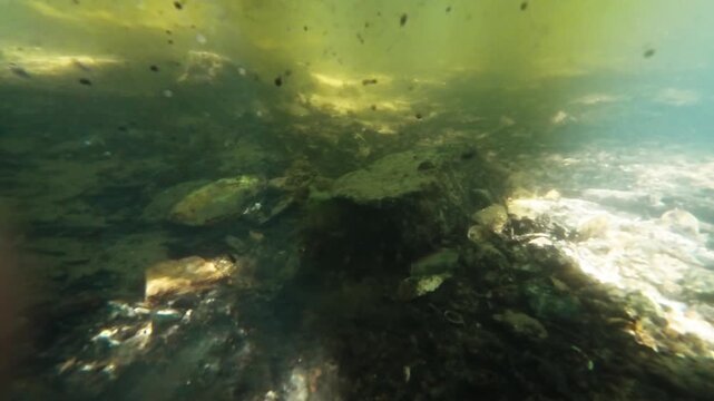 Close-up of male hand reaching into clear stream to pick up lost gold coin with celtic symbol
