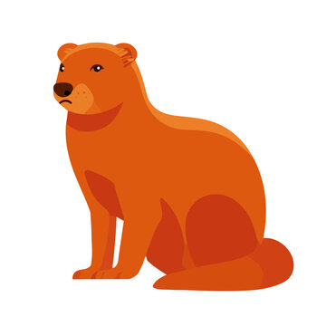 Clean flat 2D illustration of Mongoose, simple contemporary design, isolated on a white background.