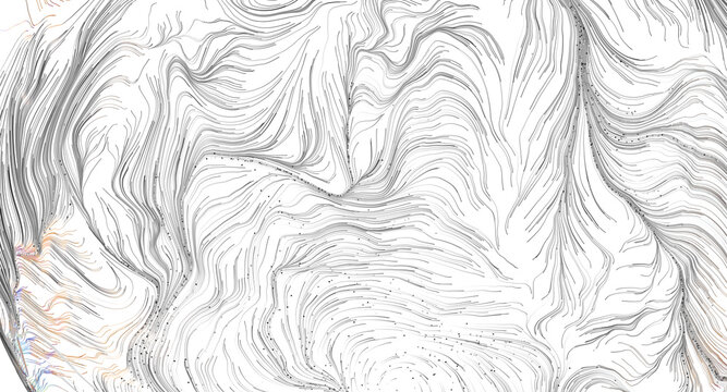 Abstract monochrome and subtle color lines flowing organically, suggesting motion and complexity.