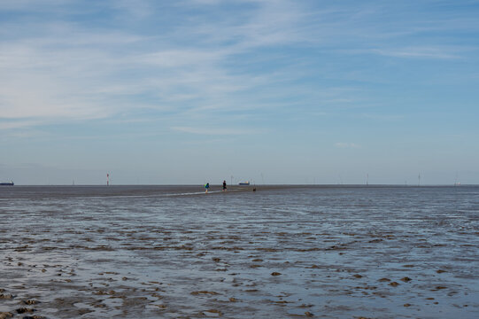 Low tide on the North Sea coast, with mudflat hikers on the horizon