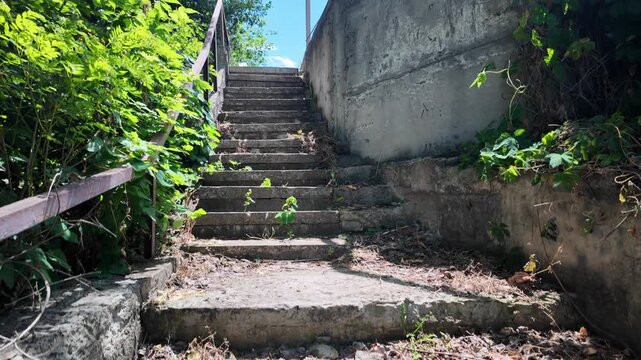 Cinematic 4K 24fps footage with natural motion blur. Abandoned concrete stairs overgrown with lush green foliage. Perfect for trendy urban exploration, decay, and post-apocalyptic themes.