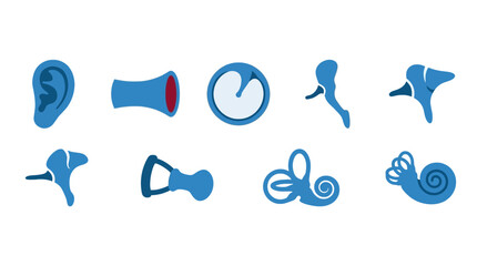 Blue anatomical icons of the human ear and auditory system © kobar