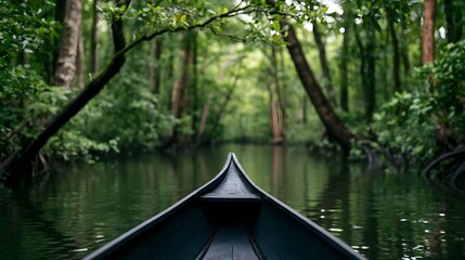 Fototapeta premium A sleek gondola navigates through a serene mangrove forest offering a tranquil and immersive water journey