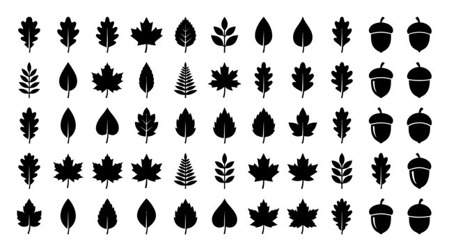 Collection of various leaf and acorn silhouettes.