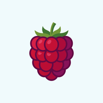 A vibrant red raspberry illustration on a plain background