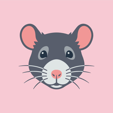 A cute cartoon rat face is centered on a pink background