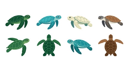 Set of colorful sea turtle illustrations on white background © daaspee