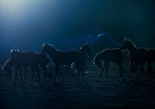 Horse riding is central in Kyrgyz nomads culture as horse enables them to cover long distances in the huge steppes.