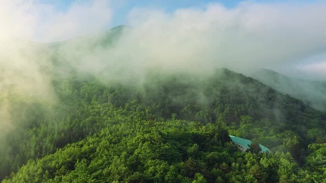 朝靄が美しい高原