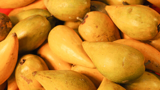 Close-up of fresh canistel fruits pile, ripe yellow eggfruit or yellow sapote background.