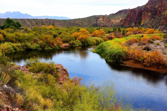 Salt River Recreation Area Arizona