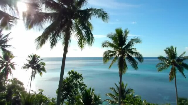 Palm trees frame a bright seascape, blue sky overhead