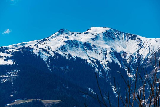Alpine summer view at Aurach near Kitzbuehel, Tyrol, Austria