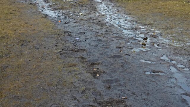 Wet muddy ground covered in deep footprints, stagnant puddles, and scattered plastic trash. Concept of environmental pollution, nature degradation, and neglected public outdoor spaces.