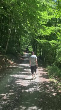 Hombre en el bosque caminando por un sendero en un d&iacute;a soleado