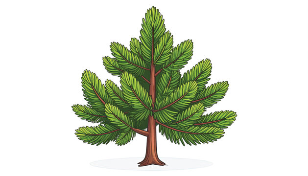 Illustration of a small pine tree.