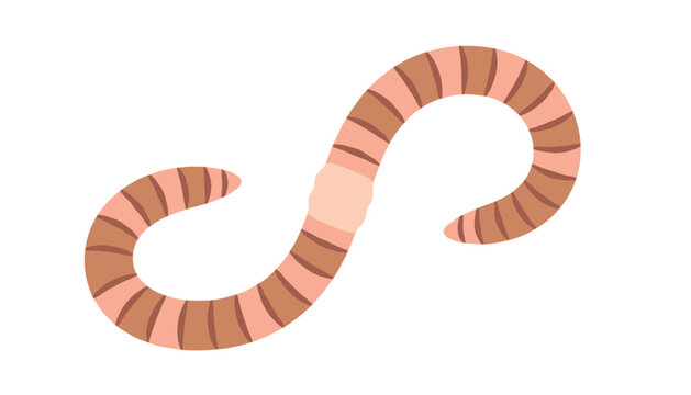 Pink earthworm crawling illustration designed in a cute cartoon style with segmented body for nature education or gardening themed concepts.