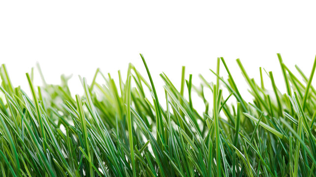 Close-up of lush green artificial turf blades