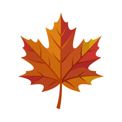 Fototapeta premium A vibrant orange maple leaf isolated on a white background